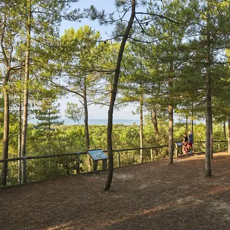 Maison Sous Les Chenes Διαμέρισμα Σαιν-Ζαν-ντε-Μον