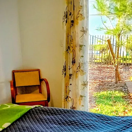 Appartement Maison Sous Les Chenes *