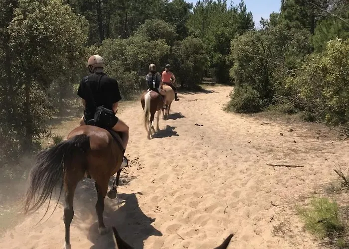Διαμέρισμα Maison Sous Les Chenes Σαιν-Ζαν-ντε-Μον