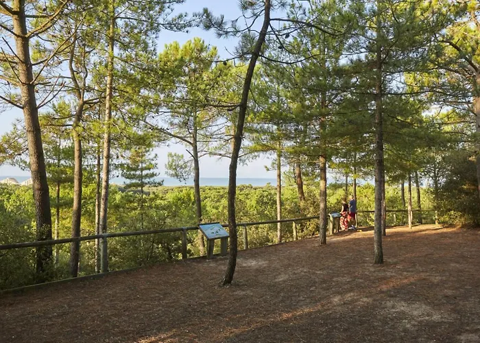 Maison Sous Les Chenes Apartment Saint-Jean-de-Monts